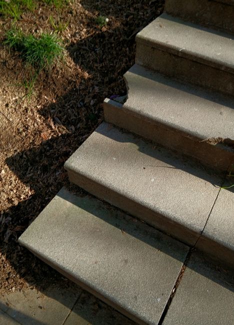 Close-up view of concrete steps leading from an outdoor area to a building entrance, with three visible steps and a slight incline, surrounded by a patch of soil and green foliage on the left. The steps are smooth, grey, and have a slight overhang at each edge. Shadows are cast on the steps from the sunlight, indicating clear weather. The basement of the stairs is bordered by a concrete wall on the right side, and the steps appear clean and well-maintained. This scene exemplifies typical residential staircase features during a house relocation process, where staff from Man and Van Crofton Park may be preparing for furniture and box transport through indoor or outdoor staircases as part of a home removal service.