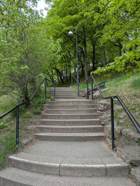 Close-up view of concrete steps leading from an outdoor area to a building entrance, with three visible steps and a slight incline, surrounded by a patch of soil and green foliage on the left. The steps are smooth, grey, and have a slight overhang at each edge. Shadows are cast on the steps from the sunlight, indicating clear weather. The basement of the stairs is bordered by a concrete wall on the right side, and the steps appear clean and well-maintained. This scene exemplifies typical residential staircase features during a house relocation process, where staff from Man and Van Crofton Park may be preparing for furniture and box transport through indoor or outdoor staircases as part of a home removal service.