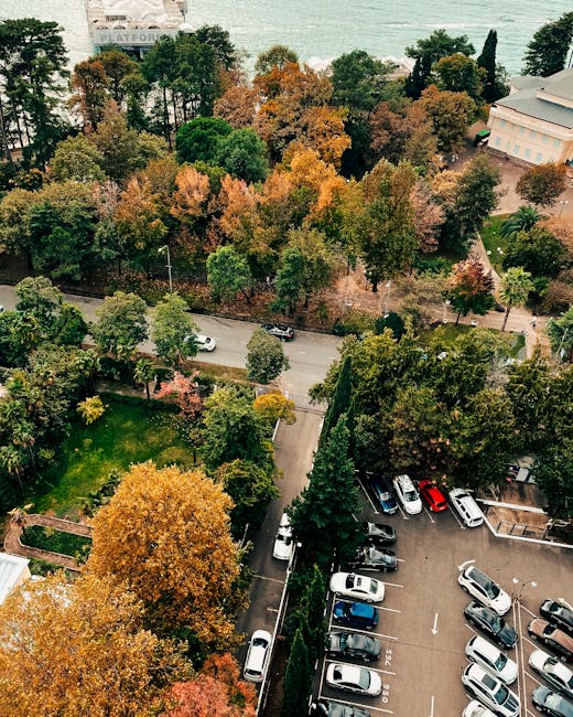 An aerial view showing a parking lot and a tree-lined street near Crofton Park, with a variety of cars parked in designated spaces, adjacent greenery, and a building partially visible on the right. In the background, there is a wooded area with dense trees displaying autumn foliage in shades of green, orange, and brown, situated next to a water body visible beyond the trees. The scene is bathed in natural daylight, capturing the calm atmosphere typical of residential or park areas in Crofton Park, relevant for house removals and furniture transport considerations in relation to the Crofton Park parking suspension permits for moving vans as outlined on the Man and Van Crofton Park website.