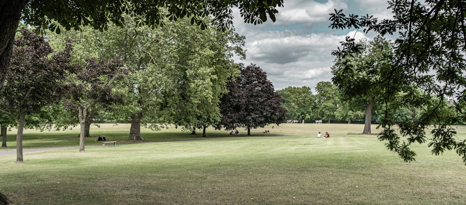 A spacious park area with a well-maintained grassy lawn and a variety of mature trees, including some with dark foliage, providing shade and landscape diversity. Several people are sitting on benches and on the grass, engaging in leisure activities such as reading or relaxing. In the background, the park extends into the distance with more trees and an open sky filled with grey and white clouds. The scene is viewed from beneath the canopy of tree branches and leaves in the foreground, offering a natural frame. This setting depicts a peaceful, outdoor environment suitable for activities related to house removals and moving services, such as loading or unpacking in a home relocation process, with no furniture or vehicles visible in the image. The natural lighting is soft, consistent with an overcast day, supporting the context of moving or packing activities that might take place in such a setting during a residential move by Man and Van Crofton Park.