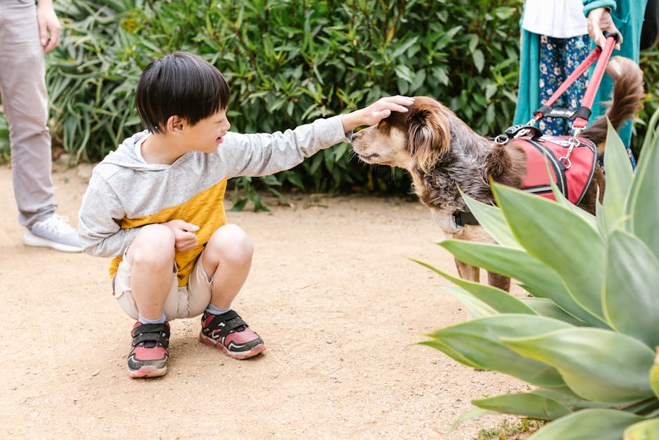 A young boy crouching on a sandy pathway in a garden area, gently petting a brown and gray dog wearing a red harness and leash. The boy is dressed in a gray and yellow hooded top, beige shorts, and black and red sneakers, with a joyful expression on his face. In the background, there are green plants and foliage, with a person partially visible holding the dog's leash. The setting appears to be outdoors during daytime, with natural lighting and a calm, welcoming environment. This image depicts a friendly interaction during a home relocation or outdoor walk, which relates to the services provided by Man and Van Crofton Park for house removals, emphasizing the importance of careful handling and peaceful moments during moving or transport processes.