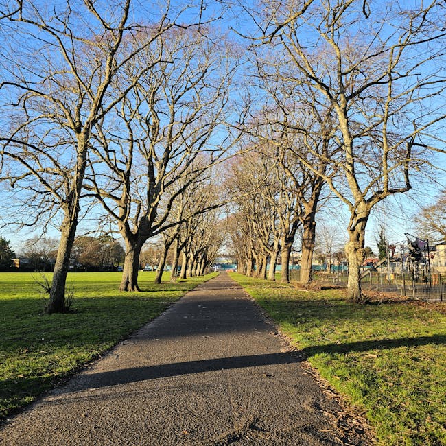 A straight asphalt pathway lined with leafless deciduous trees on both sides, stretching into the distance under a clear blue sky. To the left of the path, there is a large grassy area with minimal vegetation, and to the right, a fenced area with playground equipment and some structures. The trees cast long shadows across the path, indicating early morning or late afternoon sunlight. This outdoor scene, captured during a home relocation process, provides a clear view of the environment surrounding a residential area, with no visible furniture, boxes, or moving equipment. The image emphasizes an open, spacious setting typical of a street or parkway environment associated with house removals and relocation services provided by Man and Van Crofton Park, supporting the theme of transport logistics and loading processes along pavements involved in local moves and furniture transport.