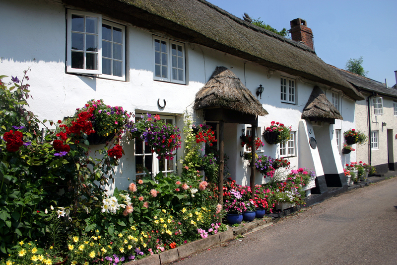 home house